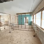 2_Albinistr_462x532px