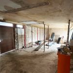 5_Albinistr_462x532px