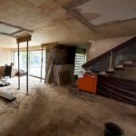 6_Albinistr_462x532px