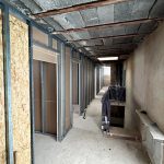 7_Albinistr_462x532px