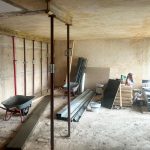 9_Albinistr_462x532px